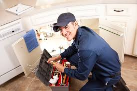 Best Toilet Repair and Installation  in Piney Green, NC